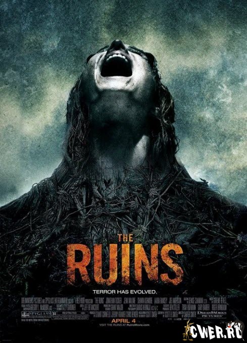 Руины  (2008) DVD5