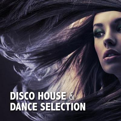 Disco House & Dance Selection 