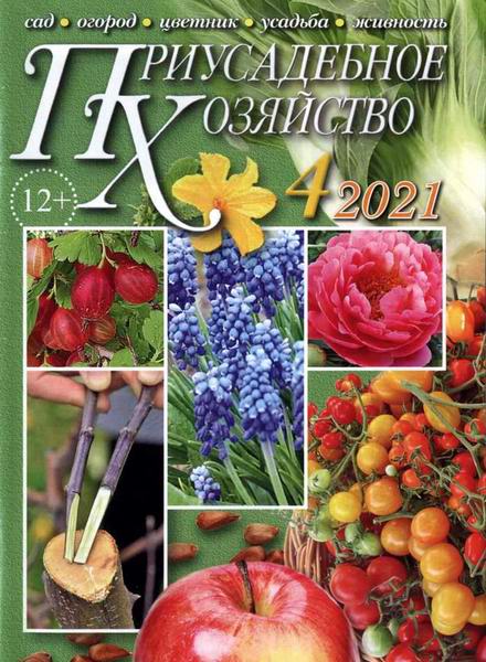 Приусадебное хозяйство №4 апрель 2021 + приложения Цветы в саду и дома Дачная кухня