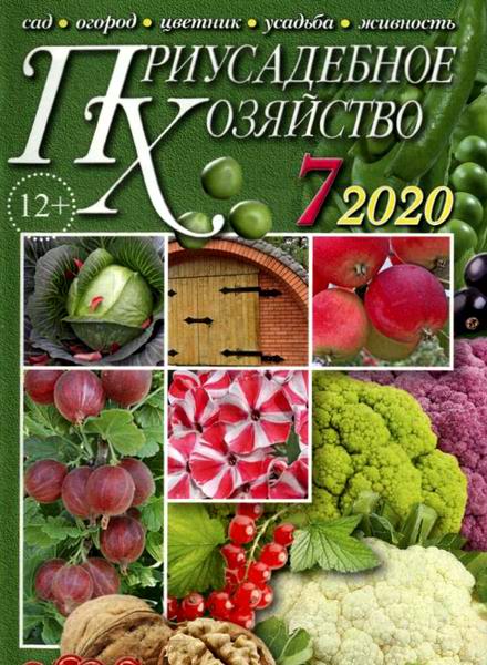Приусадебное хозяйство №7 июль 2020 + приложения Цветы в саду и дома Дачная кухня
