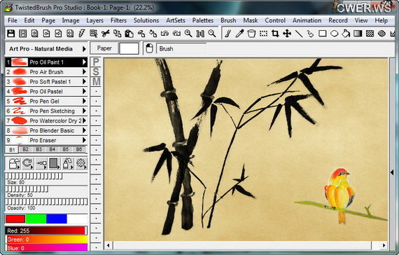 TwistedBrush Pro Studio 19.10