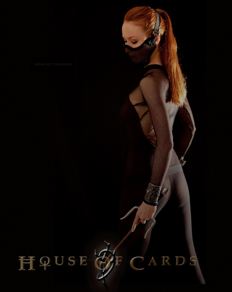 Карточный домик / House of Cards (2013/WEB-DLRip
