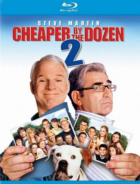 Cheaper by the Dozen 2