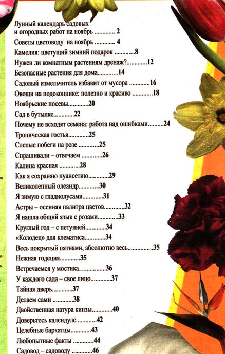 Любимые цветы №11 (ноябрь 2011)
