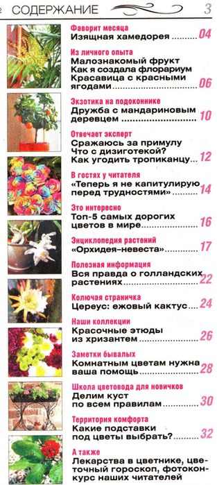 Наш цветочный клуб №1 (январь 2012)