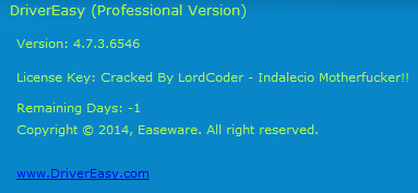 DriverEasy Professional