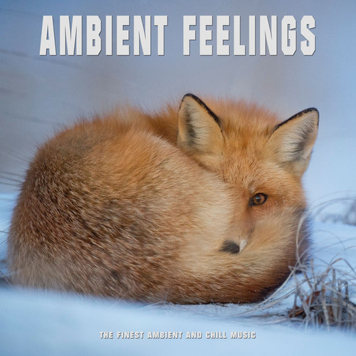 Ambient Feelings: The Finest Ambient and Chill Music