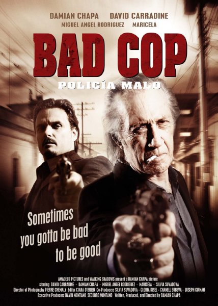 Плохой полицейский (2009) DVDRip