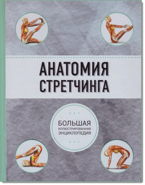 Брэд Уолкер. Анатомия стретчинга. Большая иллюстрированная энциклопедия