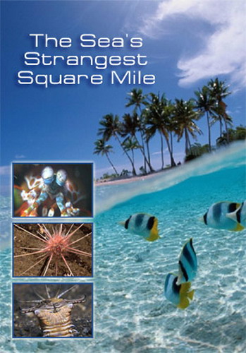 Самое странное место в океане (2011) SATRip