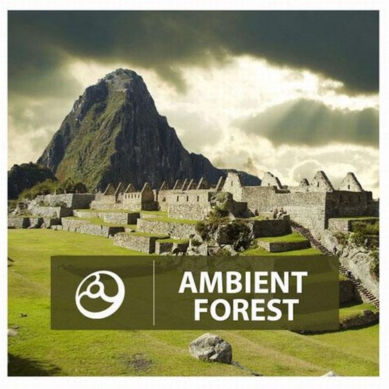 Ambient Forest (2014)