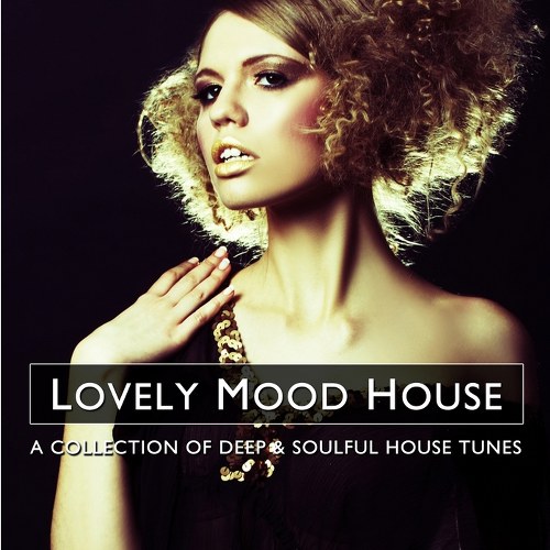 скачать Lovely mood house 3 (2011)