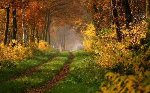 Computer Desktop Wallpapers Collection. www.cwer.ws