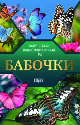 Бабочки. Иллюстрированный гид