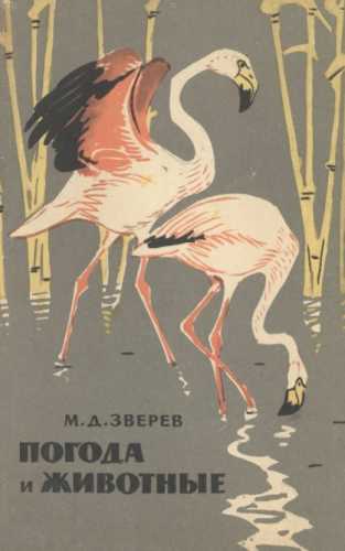 Погода и животные