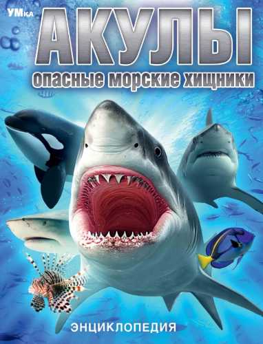 Акулы. Опасные морские хищники