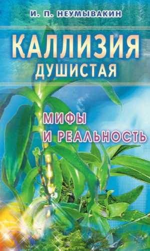 Каллизия душистая. Мифы и реальность