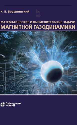 К.В. Брушлинский. Математические и вычислительные задачи магнитной газодинамики