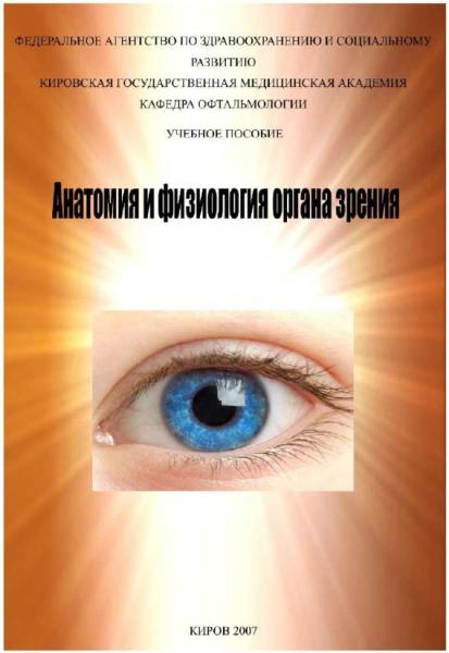 Анатомия и физиология органа зрения