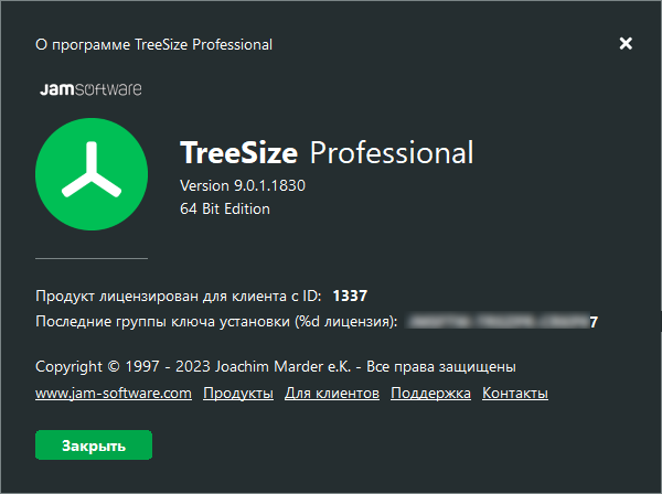 Portable TreeSize Professional 9.0.1.1830