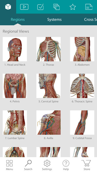 Human Anatomy Atlas1