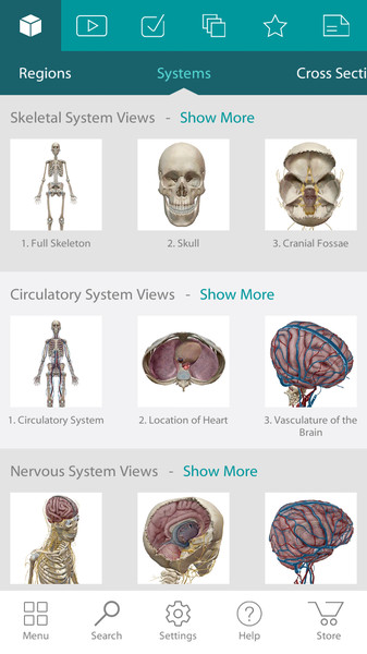 Human Anatomy Atlas3