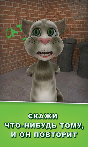 Talking Tom Cat (2013)