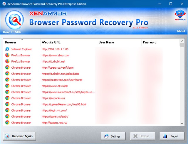 Browser Password Recovery Pro Enterprise Edition 