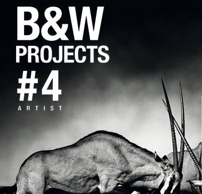 Franzis BLACK & WHITE projects 4.41.02511 + Rus 