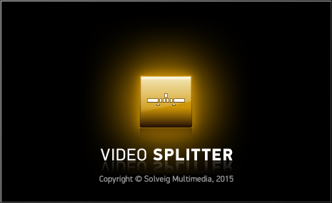 SolveigMM Video Splitter 5.0.1506.15 Business Edition + Portable