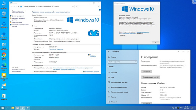 Microsoft Windows 10 Pro-Home Optim Plus