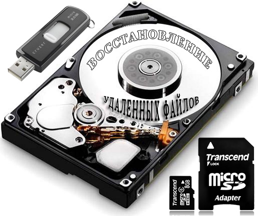Raise Data Recovery for FAT/NTFS