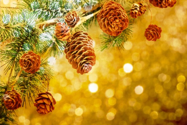 New Mixed HD Wallpapers Pack 229