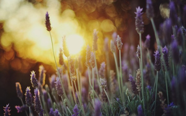 New Mixed HD Wallpapers Pack 252