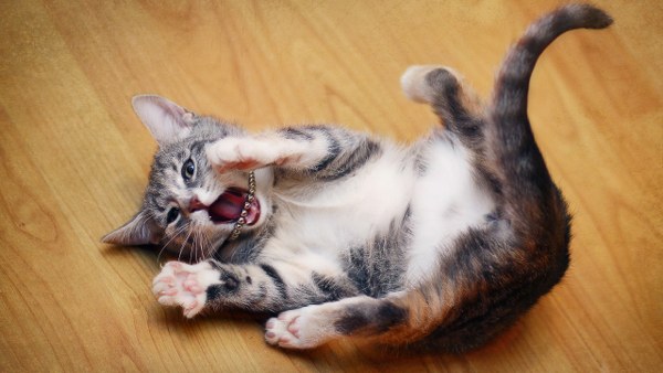 New Mixed HD Wallpapers Pack 260