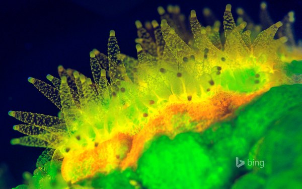 Best Mixed Wallpapers Pack #371-372