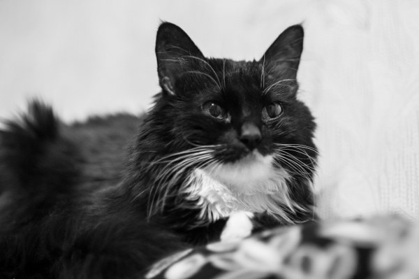 New Mixed HD Wallpapers Pack 213