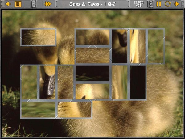 Sliders and Other Square Jigsaw Puzzles