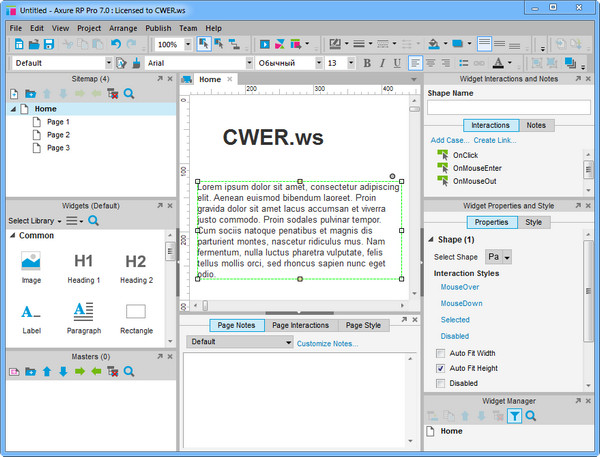 Axure RP Pro 7.0