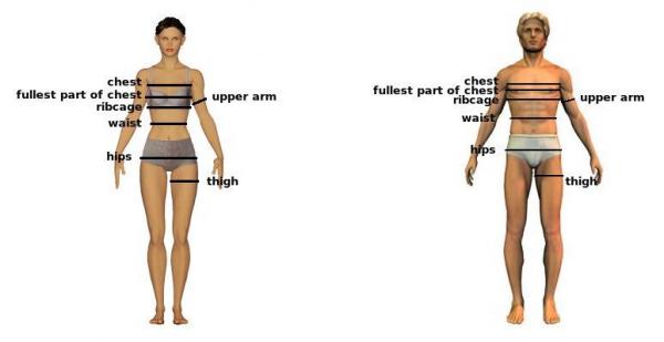 Body Measurements