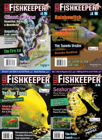 The Fishkeeper. Архив 2012