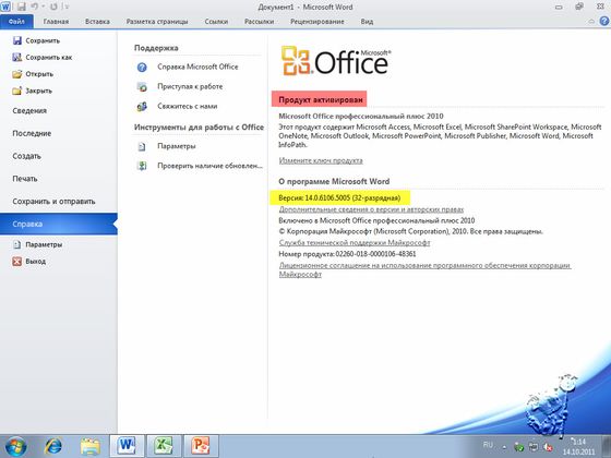 Microsoft Office 2010 Professional Plus