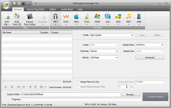 Portable AVS Audio Converter 7.0.3.485